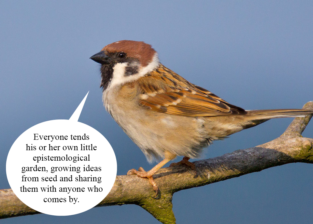 A tree sparrow on a branch with a speech bubble: 'Everyone tends his or her own little epistemological garden, growing ideas from seed and sharing them with anyone who comes by.'